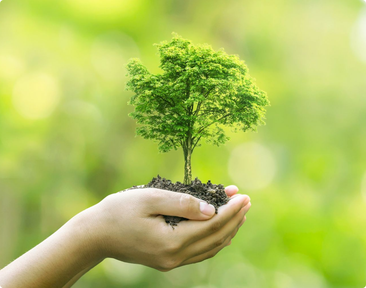 Environmental Responsibility